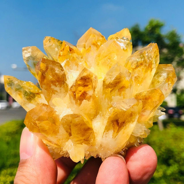 300g+ New Find Yellow Phantom Quartz Crystal Cluster Mineral Specimen Gem