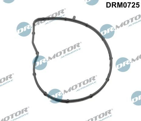 Guarnizione pompa acqua Dr.motor Automotive Drm0725 per BMW Citroen DS Mini 06->
