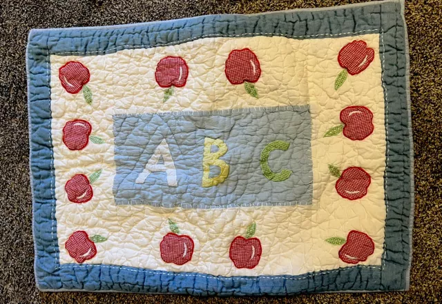 Pottery Barn Kids Quilted A B C Sham with Apples Gingham Red Back School