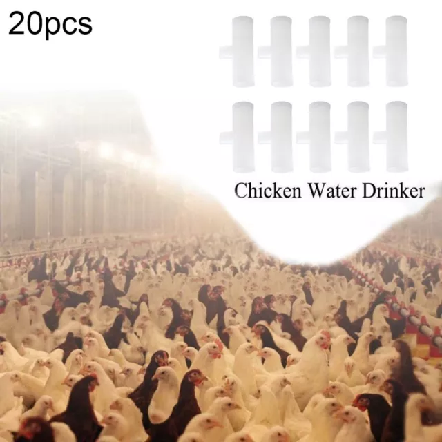 Giunto tubo a forma di T bevitore tazza/capezzolo pollo automatico 20 pz