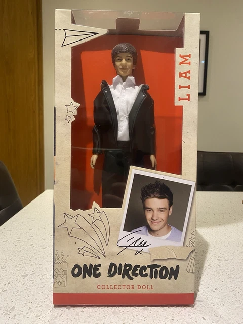 Abat-jour Lumineux One Direction Avec Fibres Optiques - Édition 2013-14 (Liam, Harry)