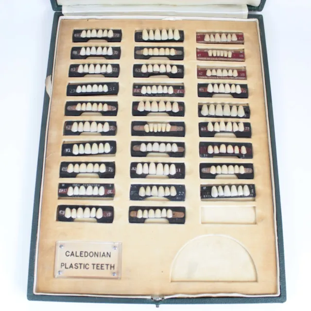 Vintage dentistry Caledonian Plastic Teeth samples salesman set false dentist #2