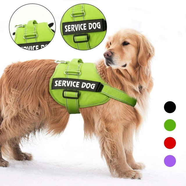 Emotional Support Large Dog Vest Harness Reflective Pet Collar W/ Patches XXL XL