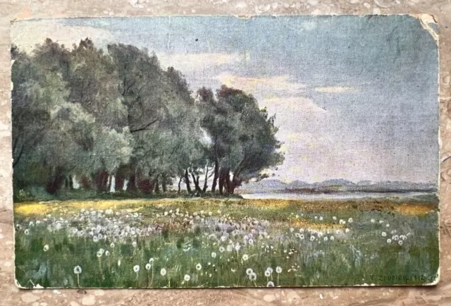 1900s Old Postcards Dandelion field Nature Landscape Vintage Postcards