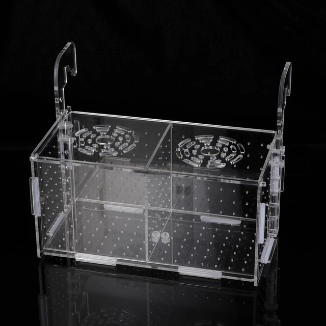 Cajas de incubación acuario incubadora caja de peces caja de cría pecera