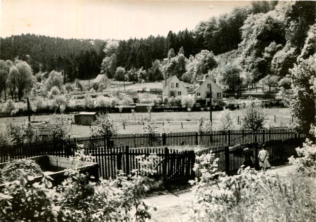 AK FALKENBERG (MARK) 1961 Wohnhäuser Gärten / Eberswalde Bad