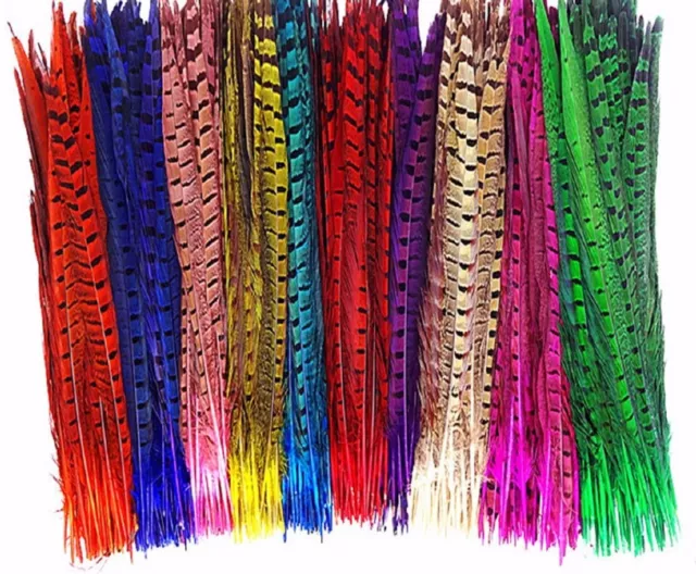 Pheasant Tail Feathers 25-30cm Colour Fly Craft Hat Arts Decorations Wedding UK