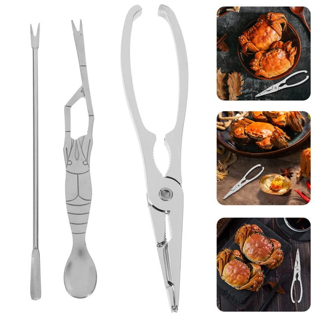 Filet De Pêche Pliable MUELODSIC – 80x80x50 Cm, Polyester, Pour Crabes/crevettes/homards – Compact, Aléatoire Couleur Bord