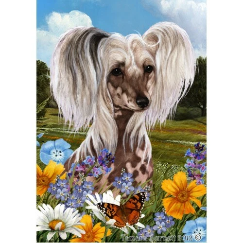 Summer House Flag - Chinese Crested 18069