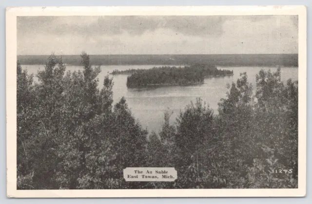 State View~LL Cook~PM 1946~B&W Scene~The Au Sable~East Tawas Michigan~Lake Bkgd