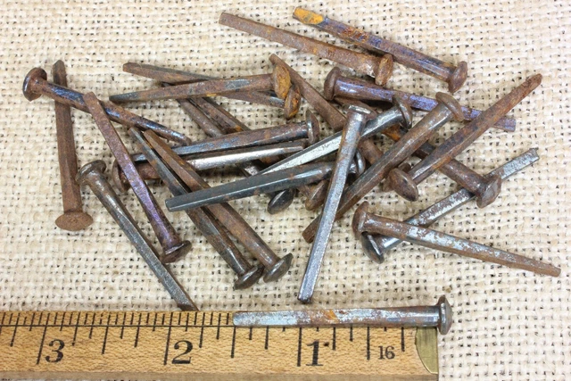 1 1/2” OLD Button rose Square NAILS round Domed head 25 in lot rustic vintage