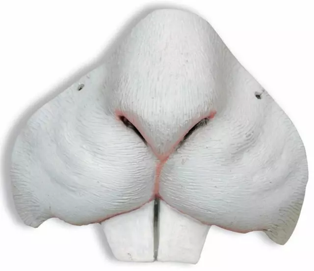 Bunny Nose Animal White Rabbit Fancy Dress Up Halloween Child Costume Accessory