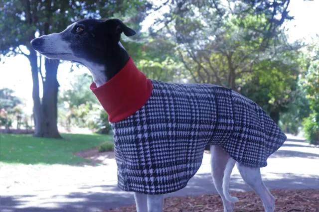 Whippet Dog Coat 50 - 55cm (Winter) Jacquard & Fleece & Collar (Small check)