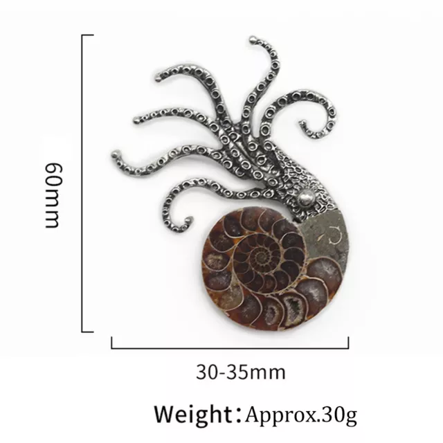 Ammonite Mollusc Squid Octopus Fossil Shell Brooch/Pendant Animal Ocean Nature 2