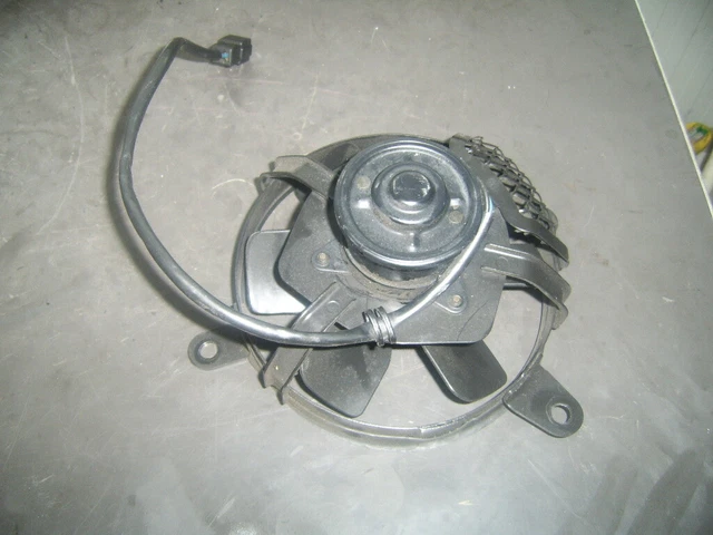 VENTOLA Suzuki TL 1000 R 1998-2001 2001