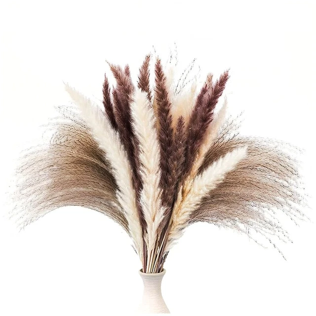 60 pz pampas essiccate decorazione erba 17 pollici pampas naturali floreali/pampas essiccate F8