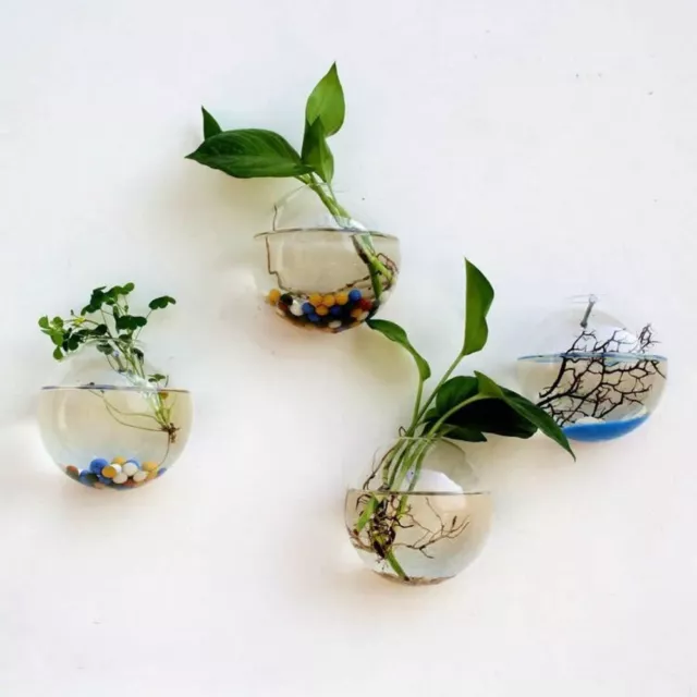 10cm Wall Hanging Glass Flower Vase Hydroponic Fish Tank Aquarium Container