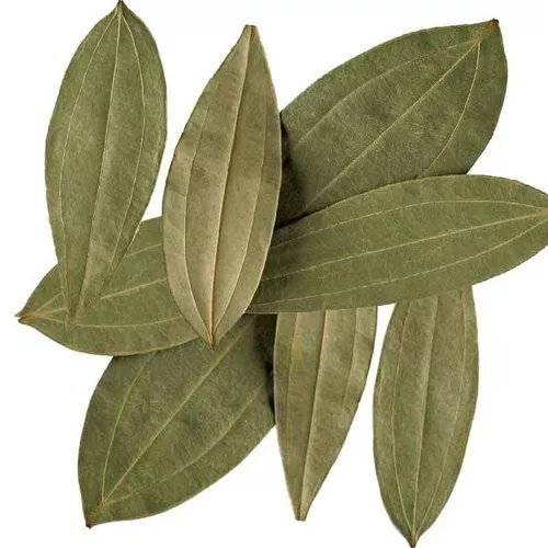 Dried CINNAMON LEAVES / Tej Patta/ Indian Bay Leaf Ceylon Best