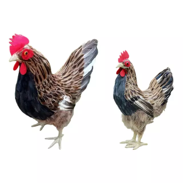 Realistic Hen Model Lovely Crafts Art Garden Statue for Lawn Décor Ornament