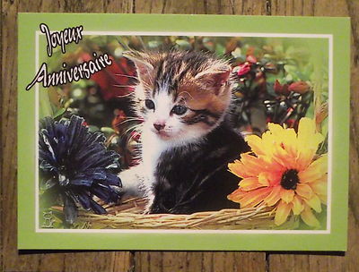 Cpsm Joyeux Anniversaire Chaton Fleurs Carte Postale Animaux Eur 4 99 Picclick Fr