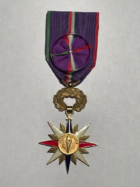 Médaille Officier De L'Éducation Sociale Française - Modèle 158-48/P33, Occasion