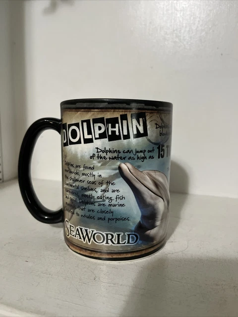 3D Dolphin Mug Seaworld Dolphin Facts