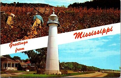 Postcard MS Dual View Banner Greetings Mississippi Picking Cotton Lighthouse C8