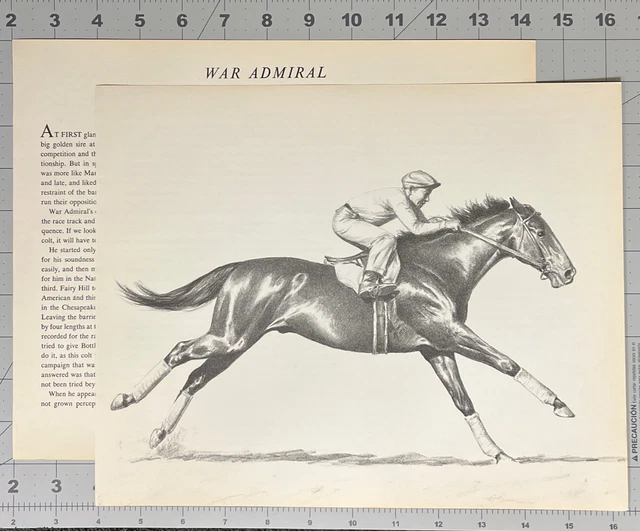 War Admiral By C W Anderson Vintage Racehorse Print From The Smashers See Photos