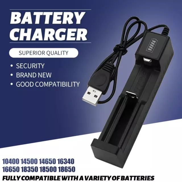 Chargeur 1 Accu