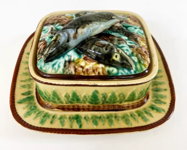 Antique 19thC English Majolica Sardine Box W/Green Acanthus Leaves Border c1865