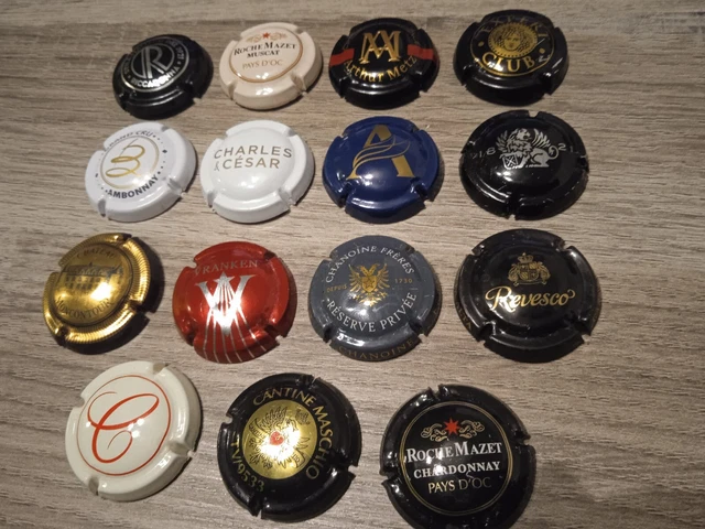 Coffret De 168 Capsules Pour Pièces Avec Joints Mousse Et 6 Tailles (20 à 46 Mm) - Boîte De Rangement