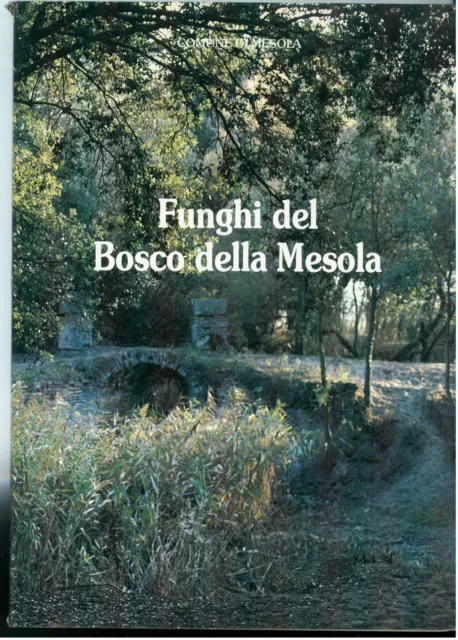 Comune Di Mesola Funghi Del Bosco Della Mesola 1988 Ferrara Emilia Romagna