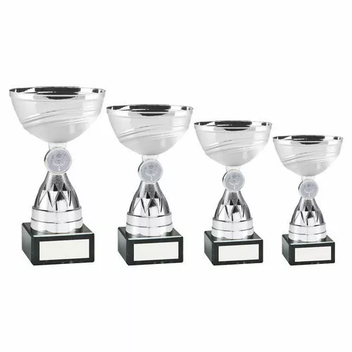 Multisport Budget Argent Récompense Coupe École Trophée Gratuit Gravure AT49