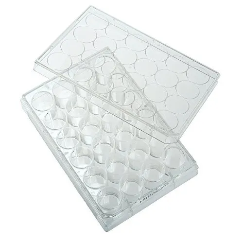 Celltreat 229123 24 Clear Polystyrene Well Tissue Culture Plate with Lid Ster...