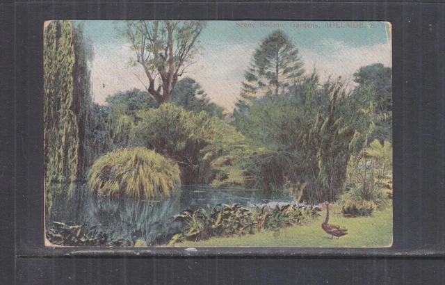 SOUTH AUSTRALIA, ADELAIDE, BOTANIC GARDENS, c1910 ppc., used, stamp missing.