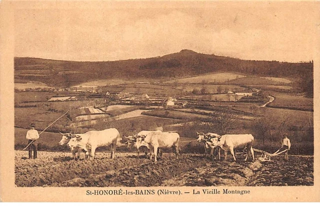 58 - SAINT HONORE LES BAINS - SAN55286 - La Vieille Montagne - Agriculture