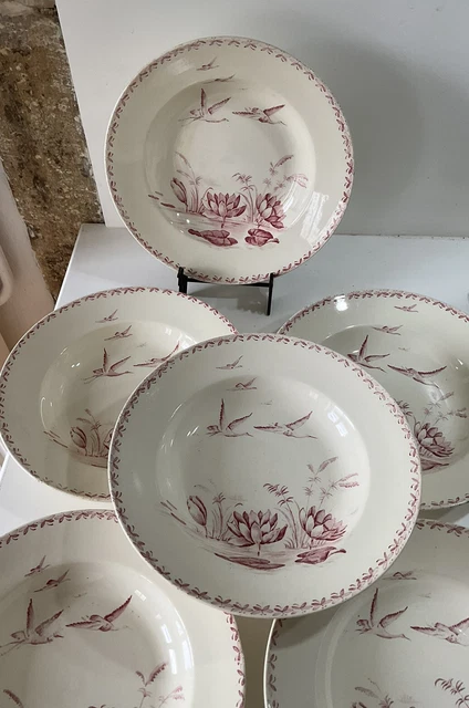 6 Anciennes Assiettes Creuses Terre De Fer Nenuphar Badonviller Collection Deco