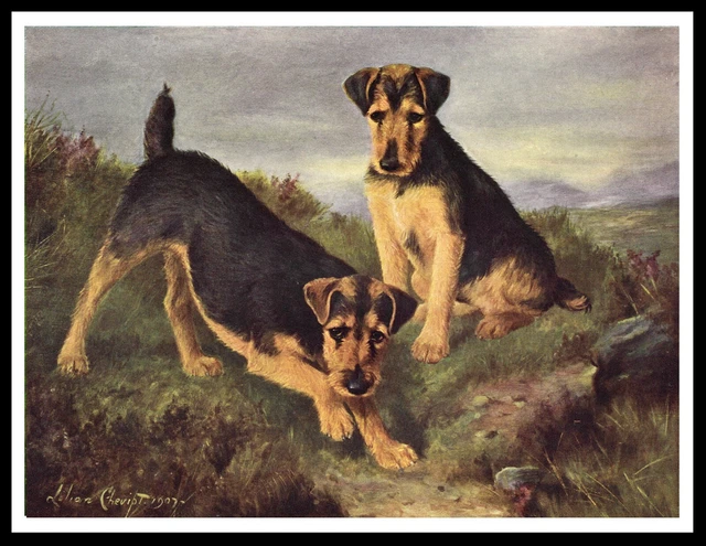 Welsh Terrier Dogs Lovely Vintage Style Dog Art Print Poster