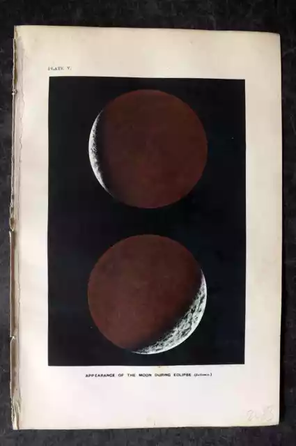 Ball 1893 Antique Astronomy Print. Appearance of the Moon during Eclipse 05