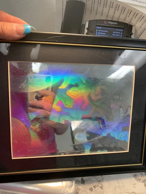 Chameleon Holographic FRAMED Picture 8 3/4 X 10 3/4"