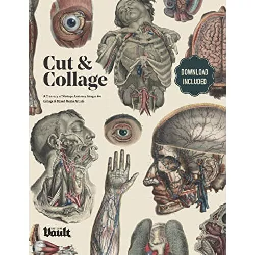 Cut and Collage A Treasury of Vintage Anatomy Images fo - Paperback NEW Kale Jam