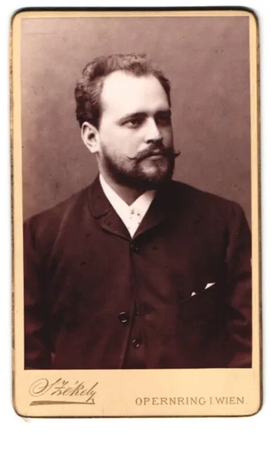 Fotografie Dr. Szekely, Wien, Opernring 1, Portrait Herr im Anzug mit Vollbart