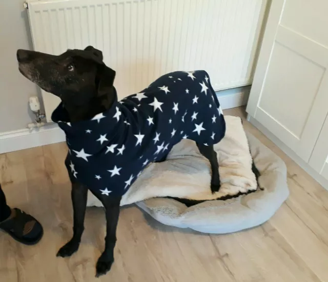 dog Snood jumper fleece house coat italian whippet lurcher blue star 26”