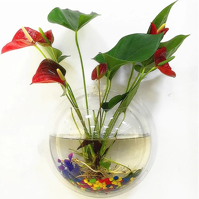 Wall Hanging Fish Tank Acrylic Round Wall Mounted Hanging Fish Bowl Aquarium Pot