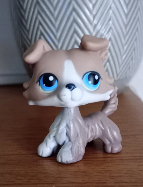 AUTHENTIC LPS 1194 chien DOG COLLEY COLLIE littlest petshop PET SHOP hasbro EUR 21,00 - FR