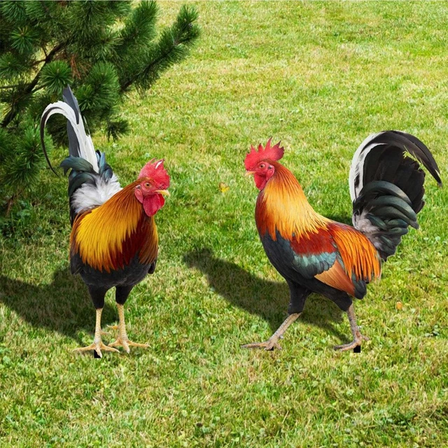 Rooster Chicken Statue Garden Decoration Yard Art Figure Sculpture Outdoor Decor