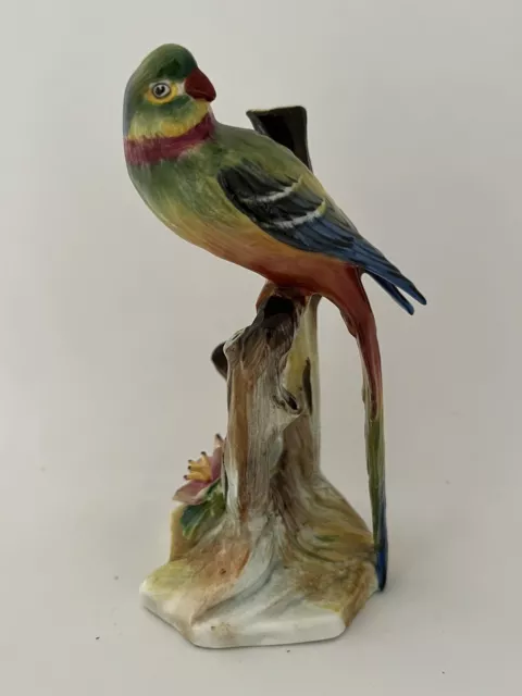 Royal Adderley Bird - Parakeet