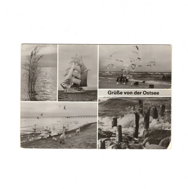 AK Ansichtskarte Grüße von der Ostsee