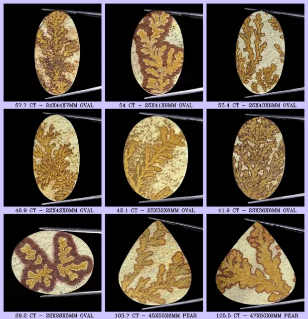 Naturel Royaume Uni Psilomelane Dendrite Desseré Pierre Précieuse