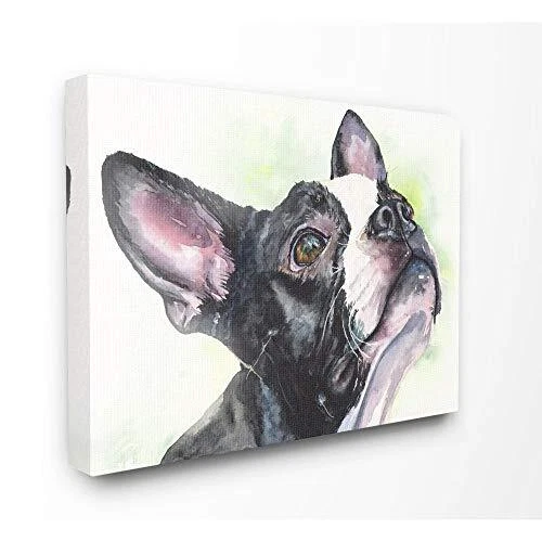 Stupell Industries Boston Terrier Dog Pet Animal Watercolor Painting Canvas W...